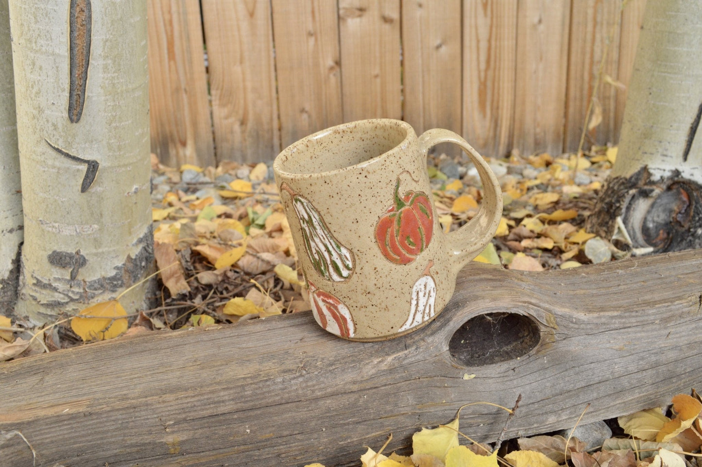 2nd - Pumpkin Mug - Earth Animated Pottery