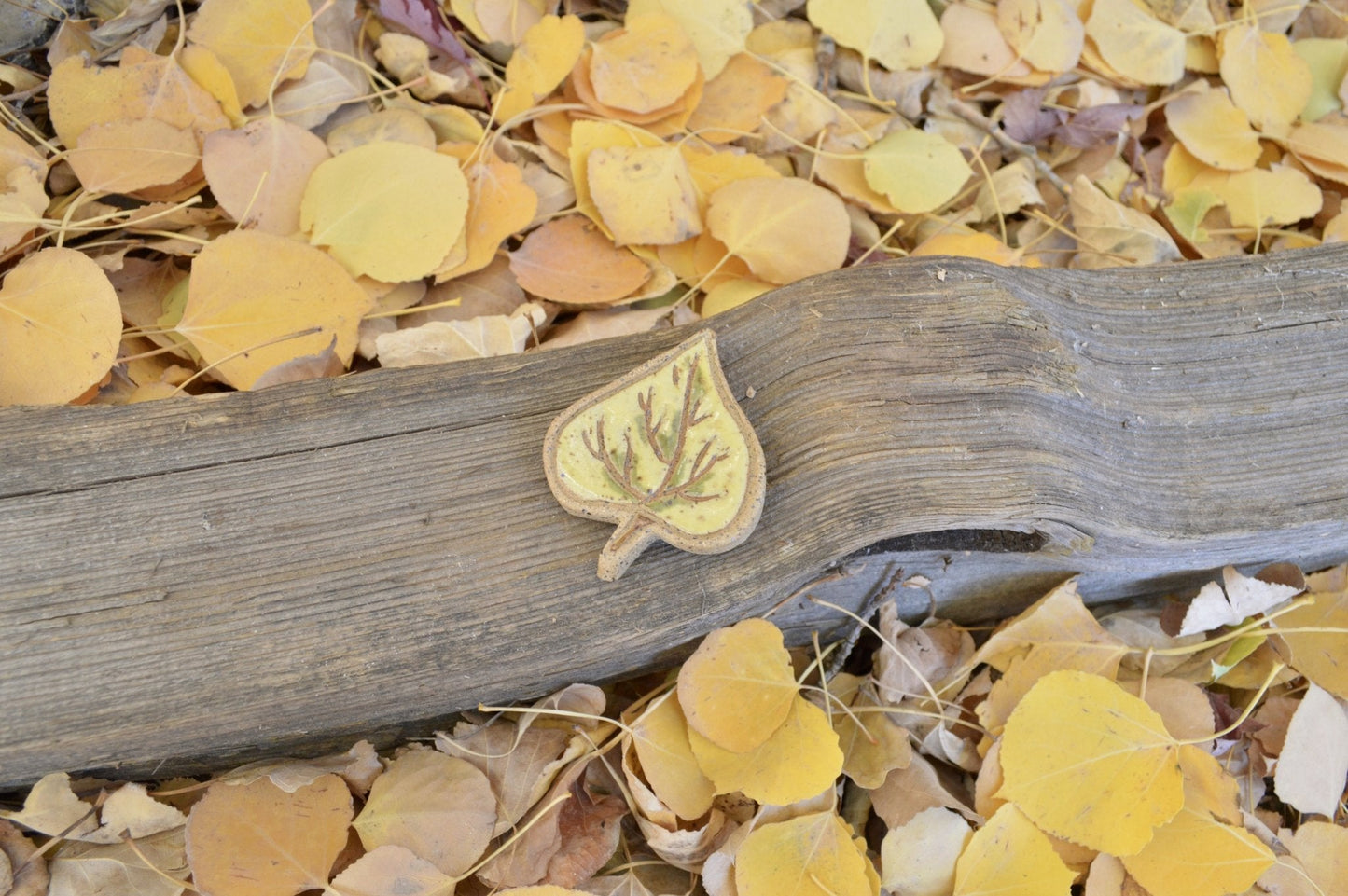 Aspen Leaf Magnet - Earth Animated Pottery