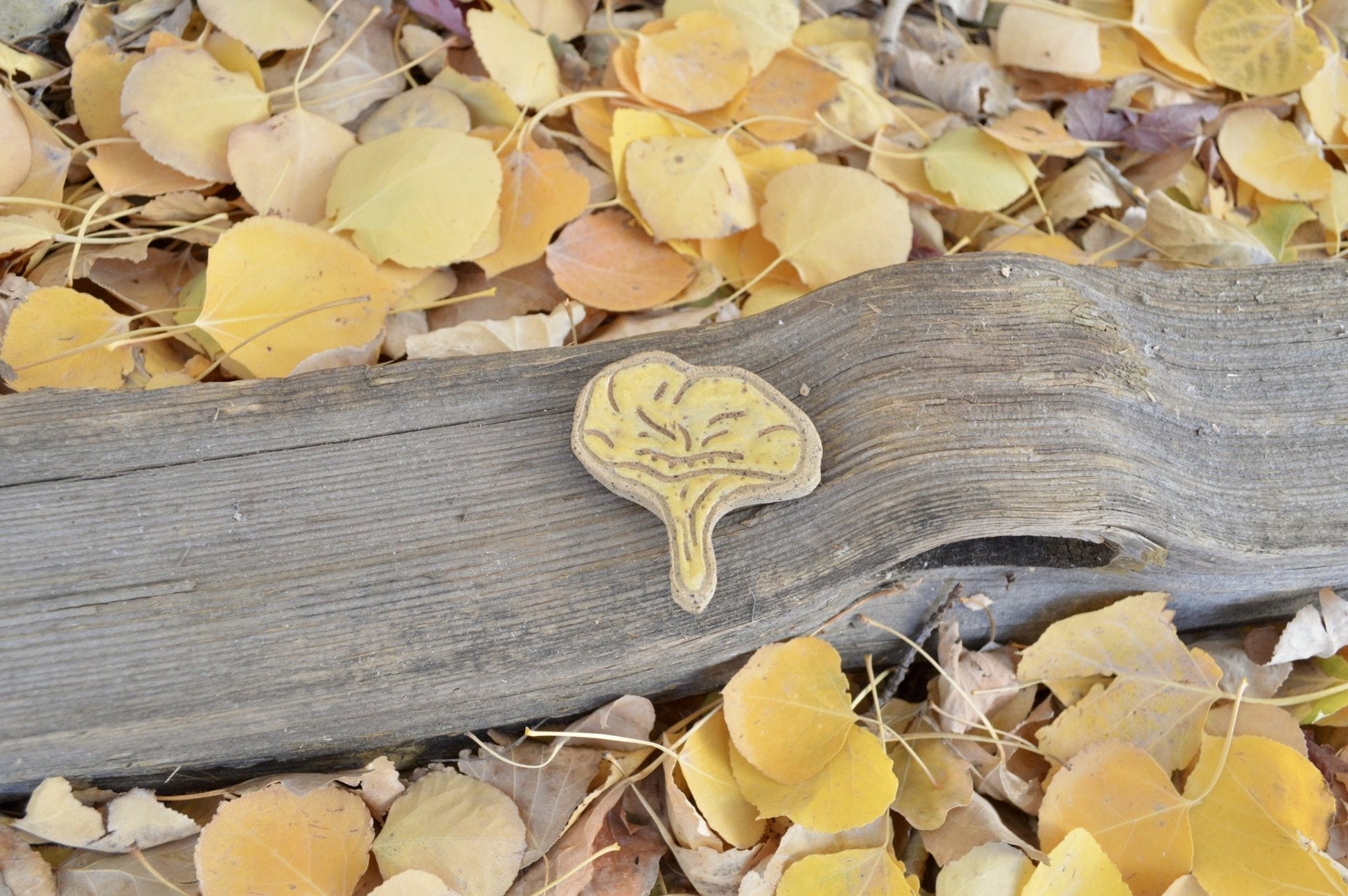 Chanterelle Mushroom Magnet - Earth Animated Pottery