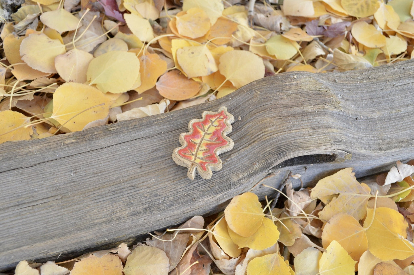 Oak Leaf Magnet - Earth Animated Pottery